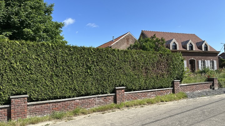 Referentie-dakrenovatie-reference-rénovation-toit-Omwenteling-Architect